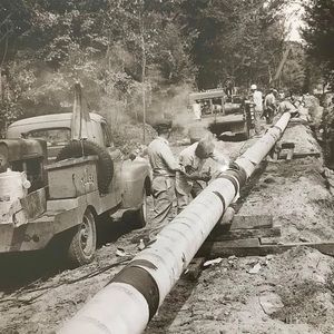 Meet your Posher, Trinidad